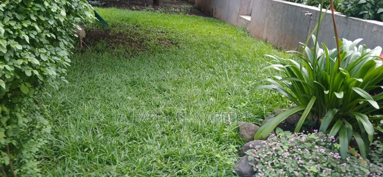 Furnished 1bdrm Apartment for rent