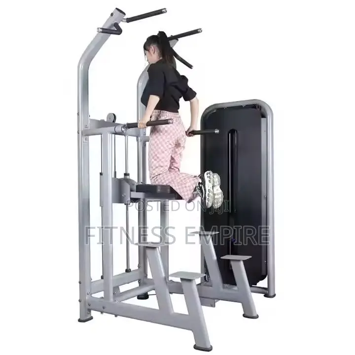 Dips and Pull Up Assist Machine