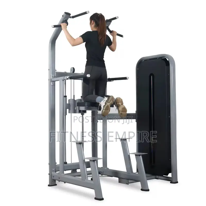 Dips and Pull Up Assist Machine