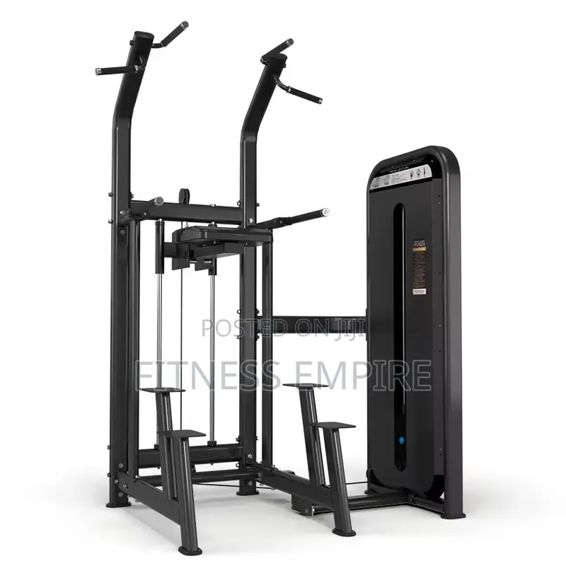 Dips and Pull Up Assist Machine
