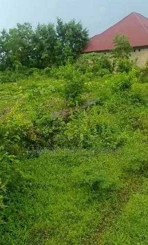 Plot for Sale at Nungwi Zanzibar