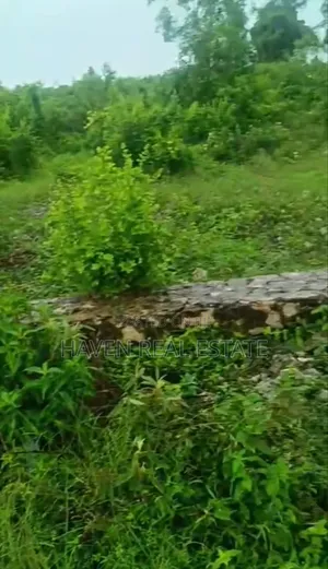 Plot for Sale at Nungwi Zanzibar