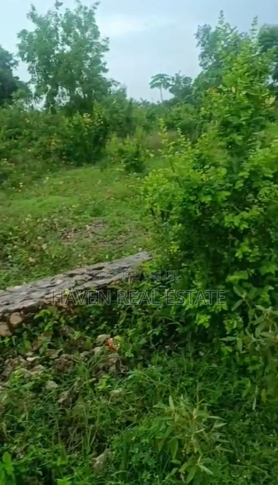 Plot for Sale at Nungwi Zanzibar