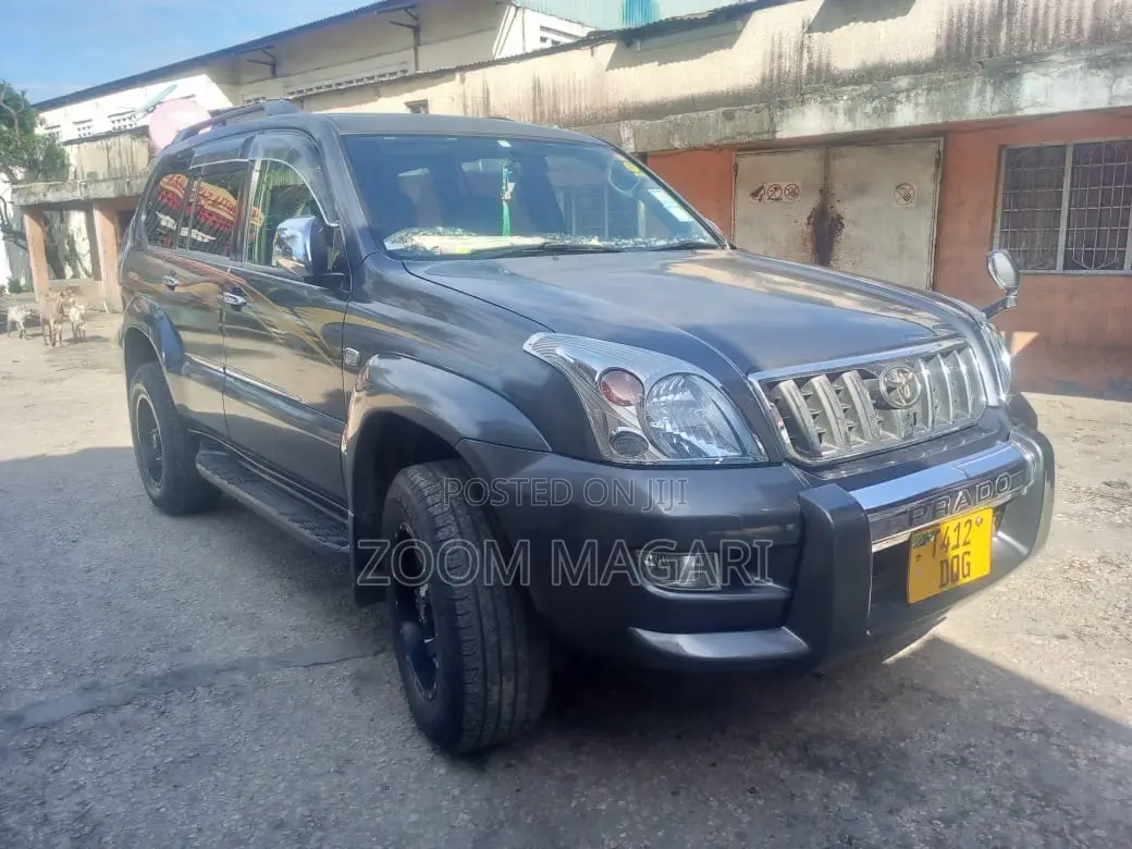 Toyota Land Cruiser Prado 2007 Gray