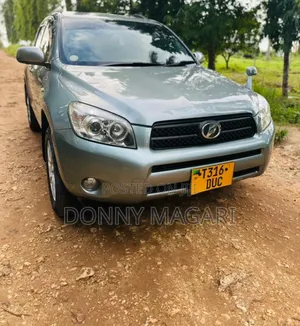 Toyota RAV4 2007 Gray