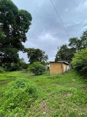 Eneo Linalotizama Lami Linauzwa Kimara