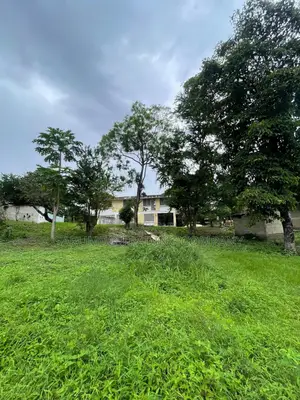 Eneo Linalotizama Lami Linauzwa Kimara