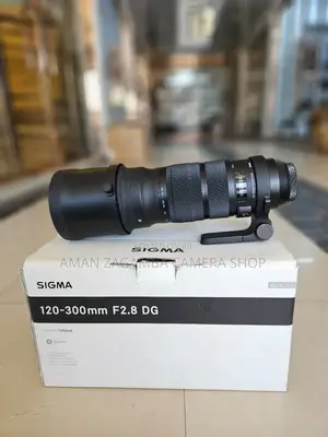 Sony Lens 120_300mm S