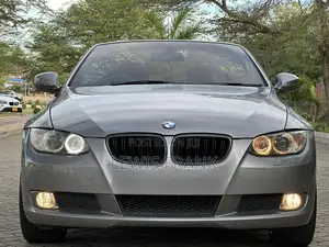 BMW 3 Series 2010 Gray