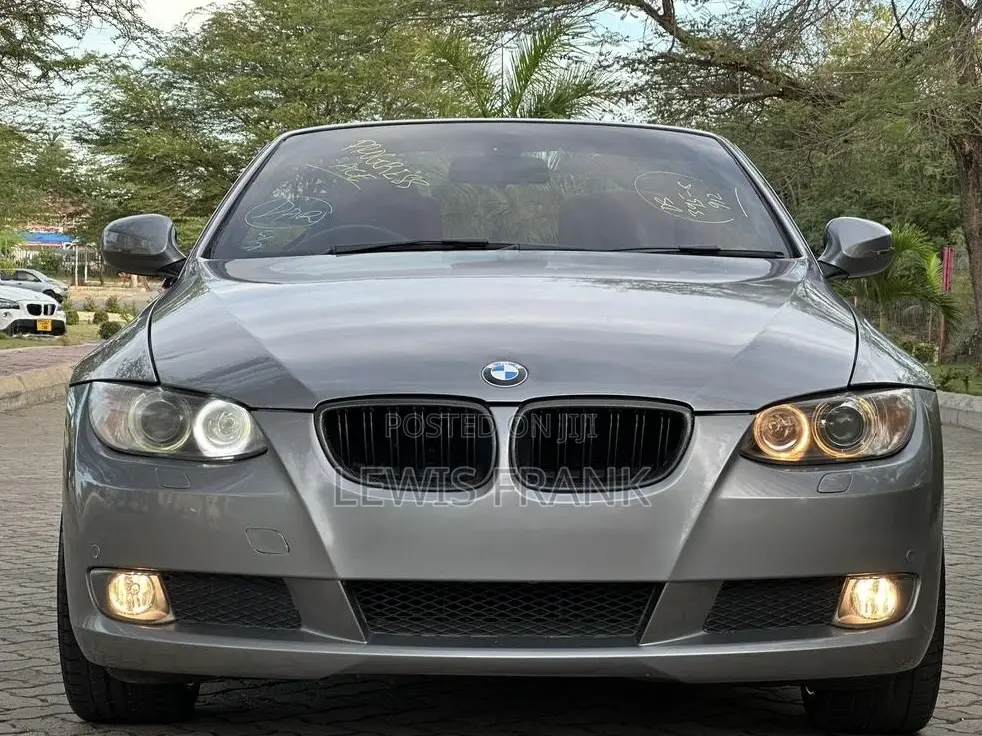 BMW 3 Series 2010 Gray