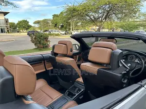 BMW 3 Series 2010 Gray