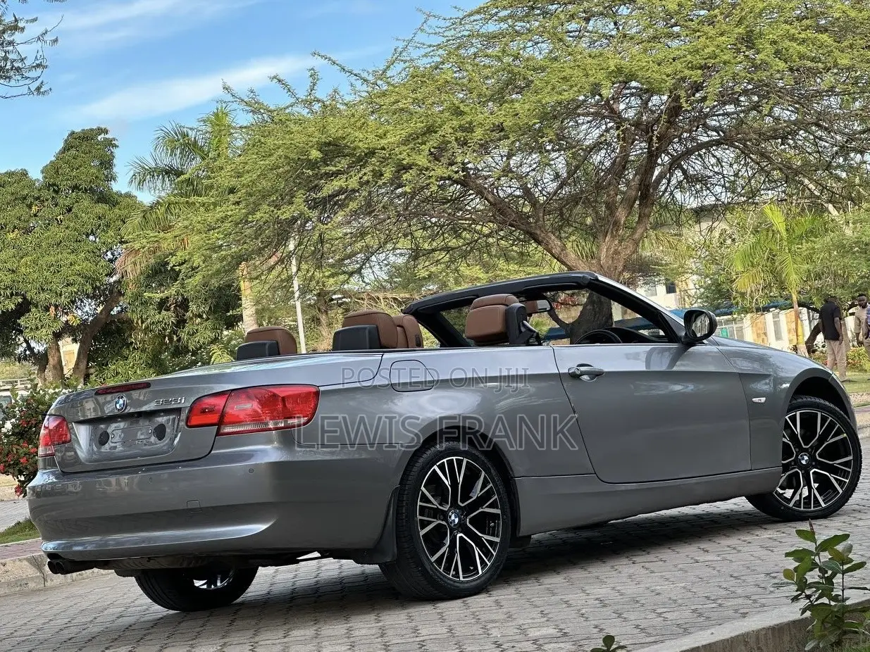 BMW 3 Series 2010 Gray