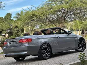 BMW 3 Series 2010 Gray