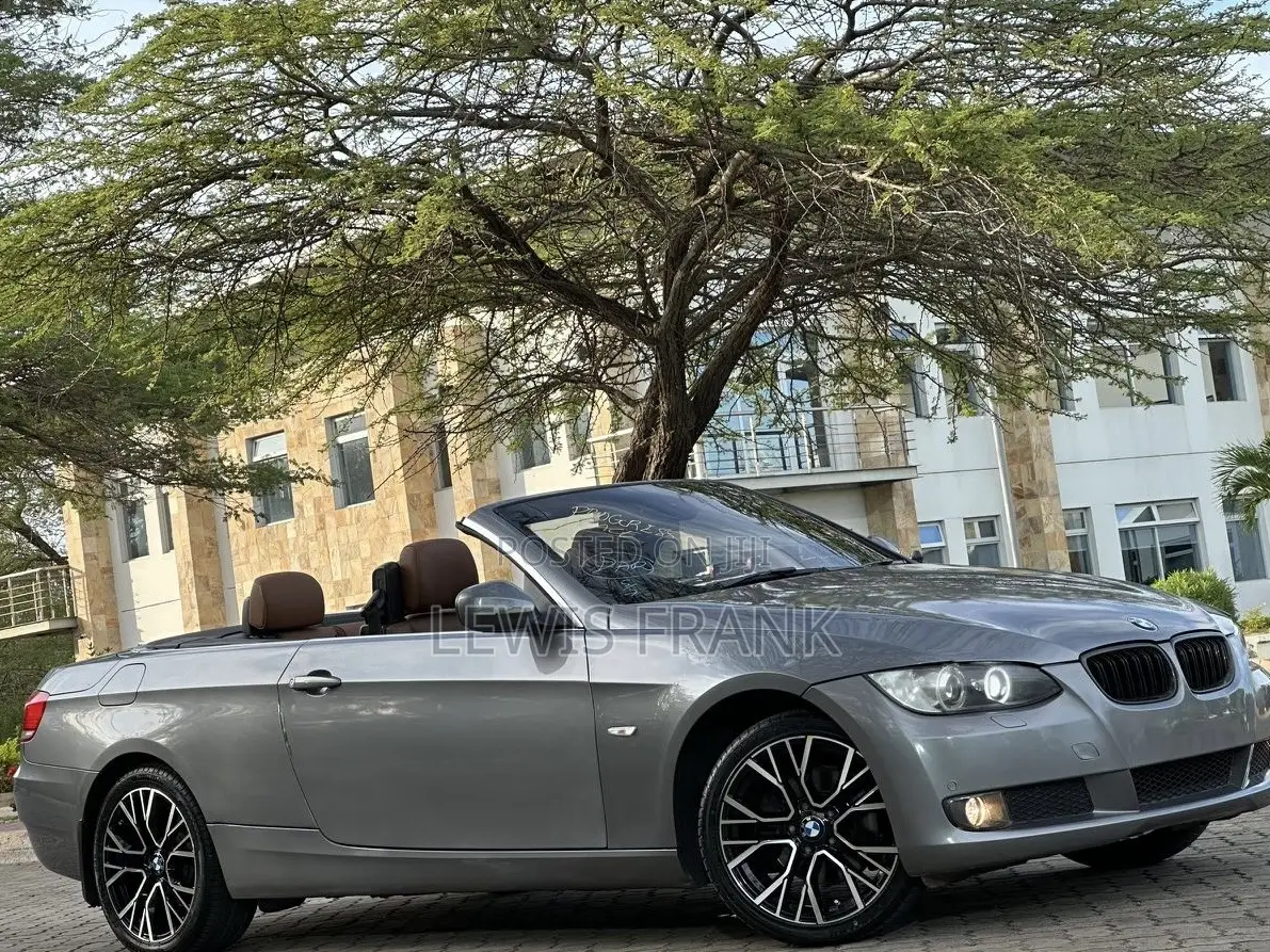 BMW 3 Series 2010 Gray