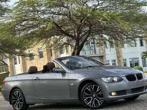 BMW 3 Series 2010 Gray
