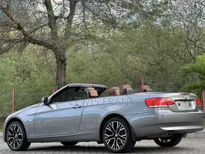 BMW 3 Series 2010 Gray