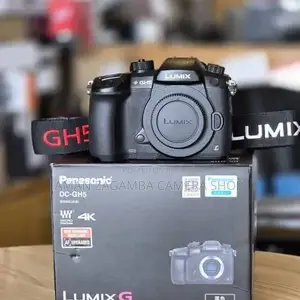 Panasoniclumixgh5 New