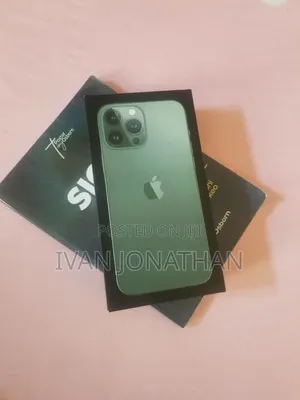 Apple iPhone 13 Pro Max 1 TB Gray