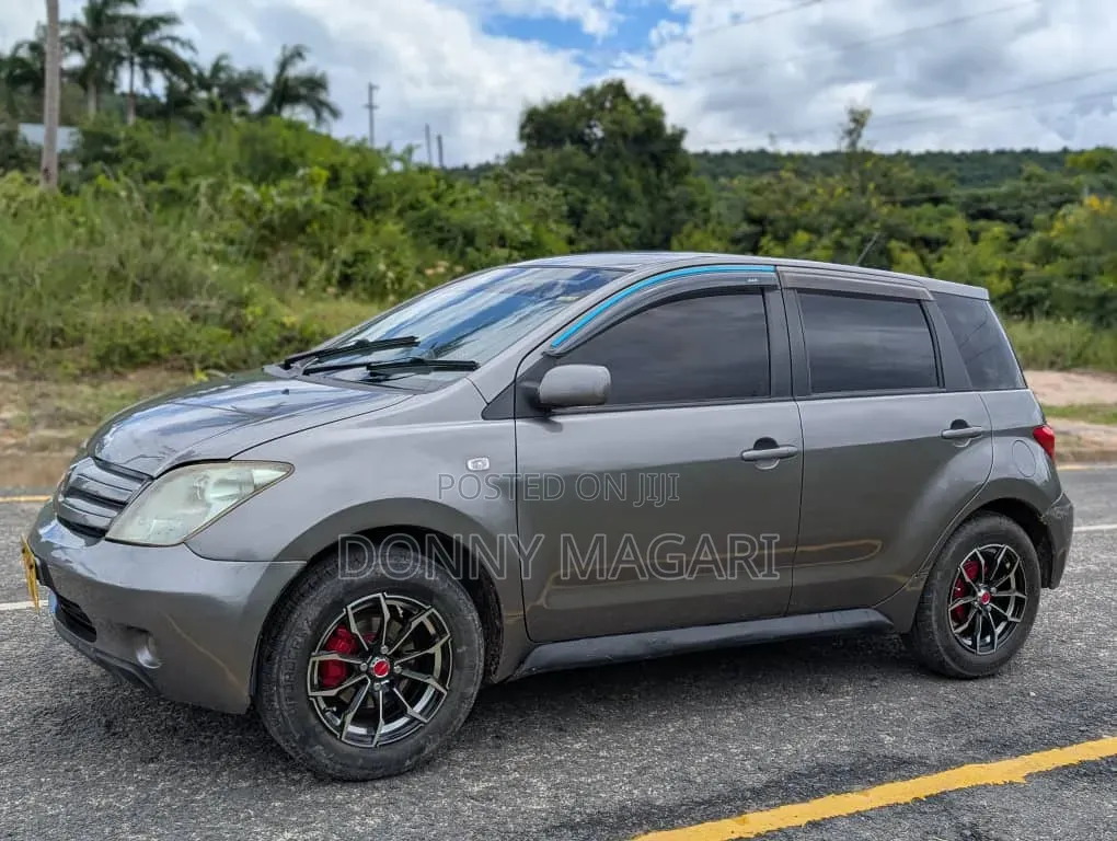 Toyota IST 2005 Gray