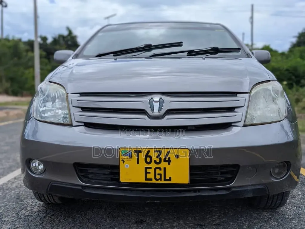 Toyota IST 2005 Gray