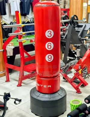 Standing Punching Bag 