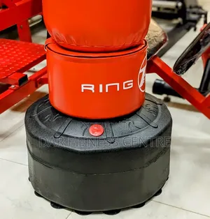 Standing Punching Bag 