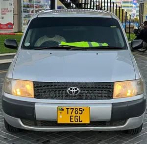 Toyota Probox 2004 Silver