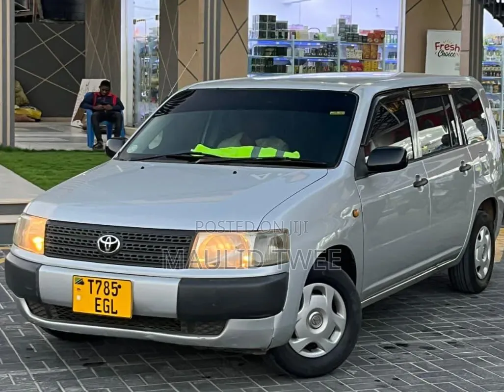 Toyota Probox 2004 Silver
