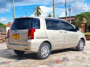 Toyota Raum 2004 Gold