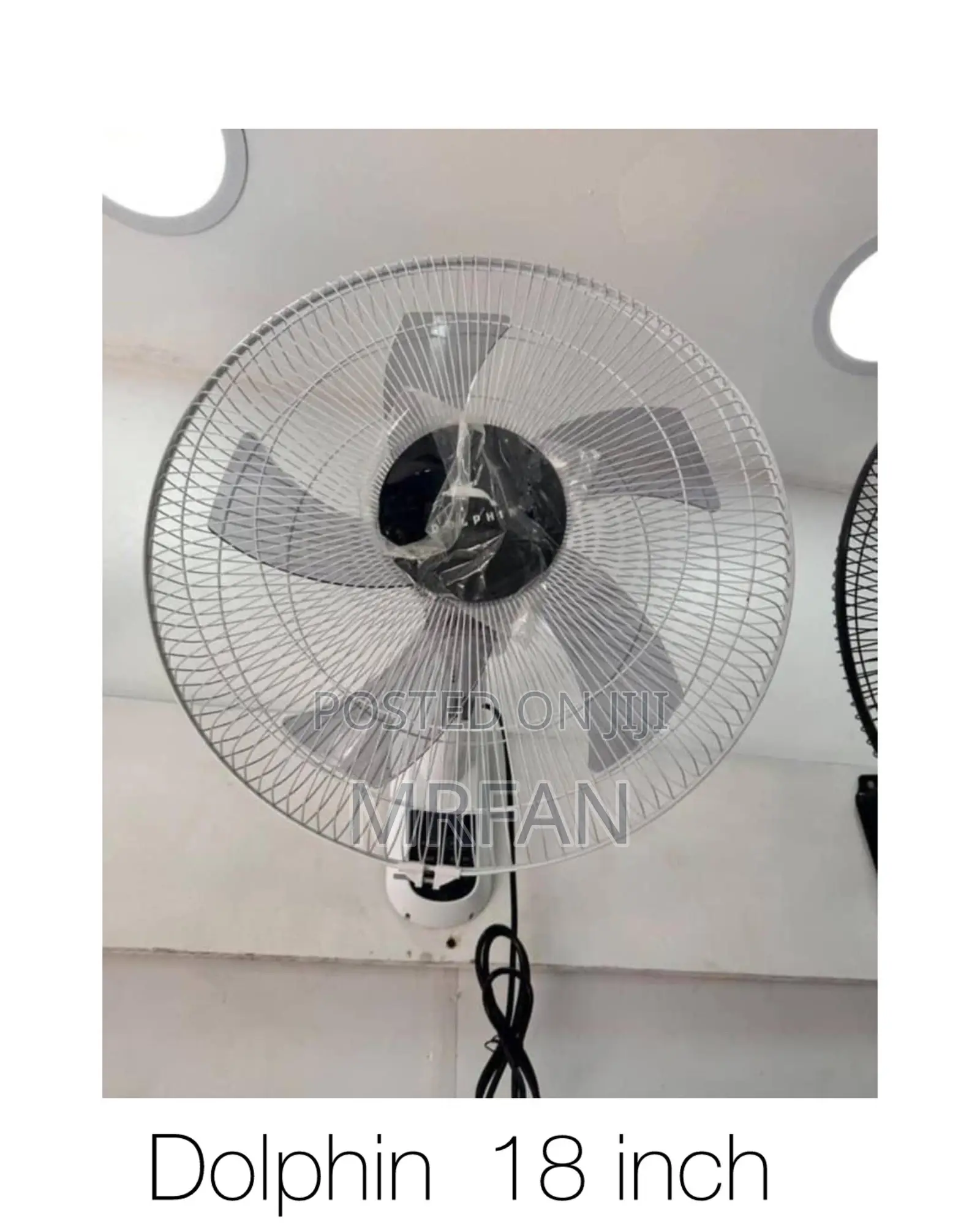 *Dolphin  Wall Fan Size 18 Model 45a 