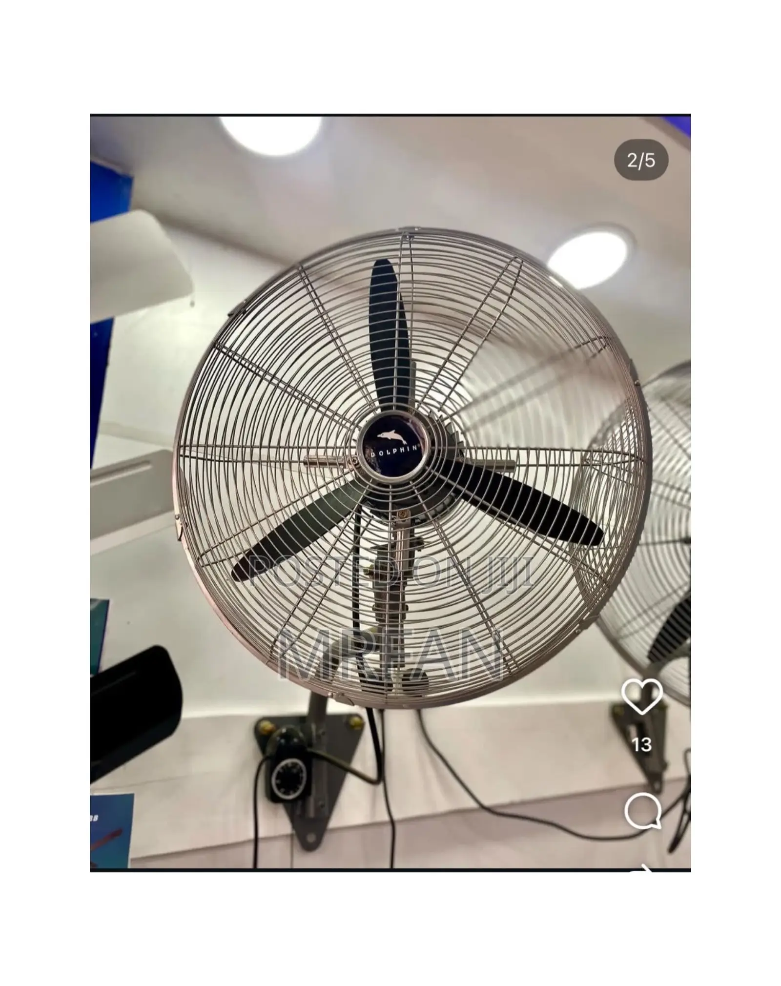 *Dolphin Wall Fan Size 20* Bei: