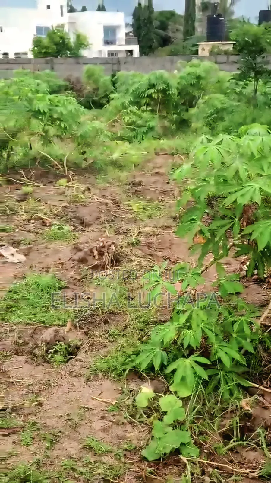 Plot for Sale at Kibada