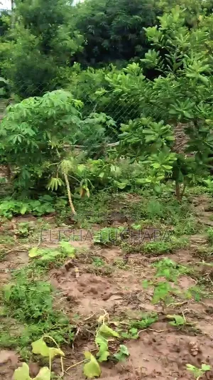 Plot for Sale at Kibada