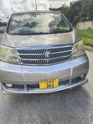 Toyota Alphard 2004 Gray