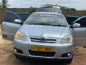 Toyota Corolla RunX 2002 Silver