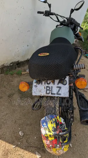 Bajaj Boxer 125 2019 Green