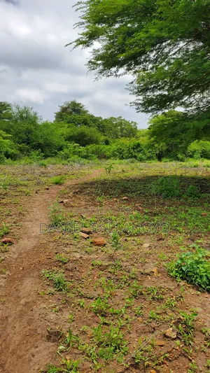 East Africa 20×30 Its 5.5m Only