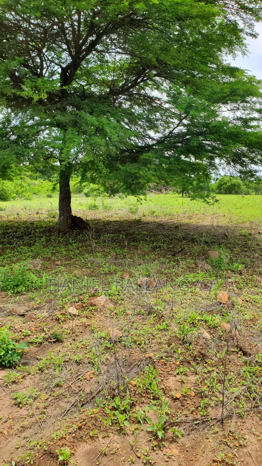 East Africa 20×30 Its 5.5m Only