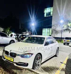 BMW 3 Series 2013 White