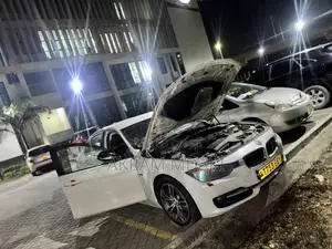 BMW 3 Series 2013 White