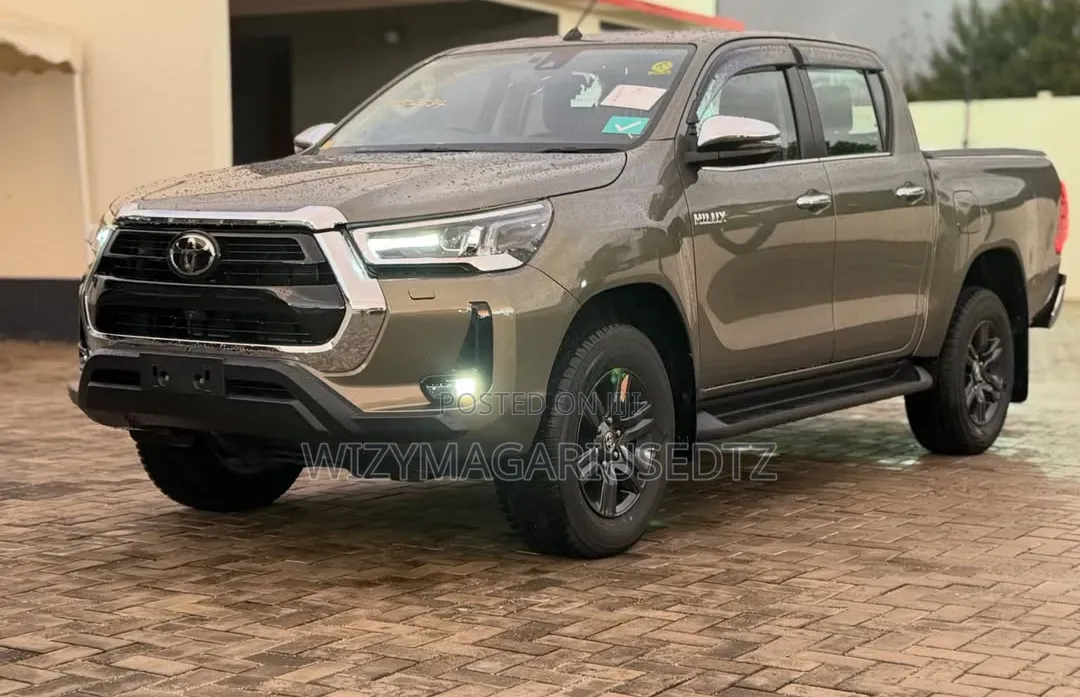 Toyota Hilux 2023 Brown