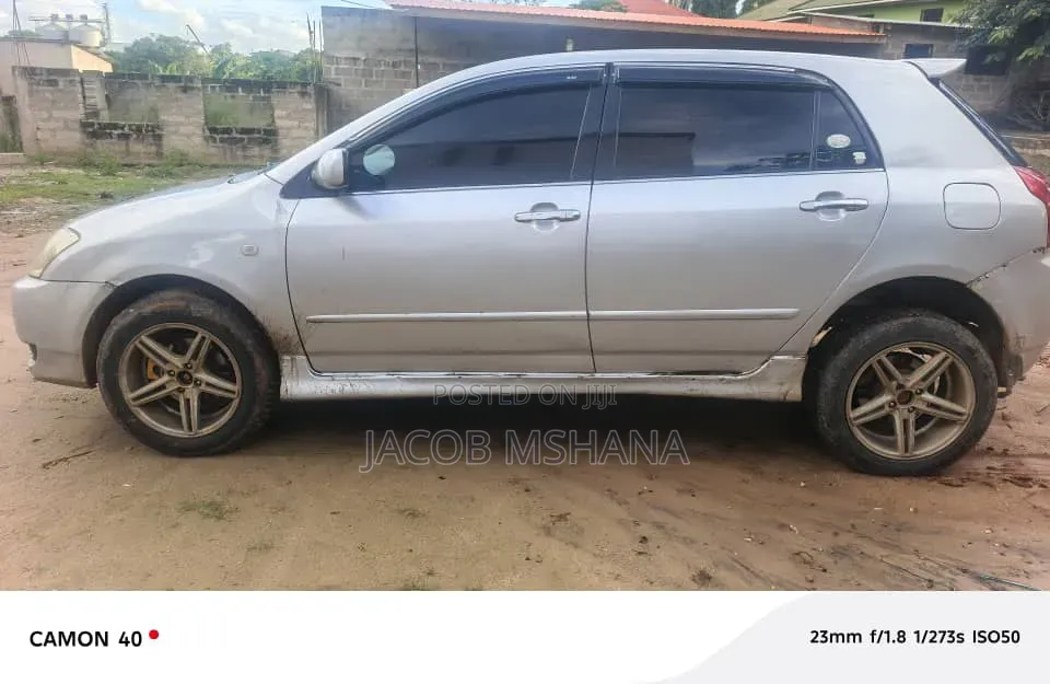 Toyota Corolla RunX 2006 Silver