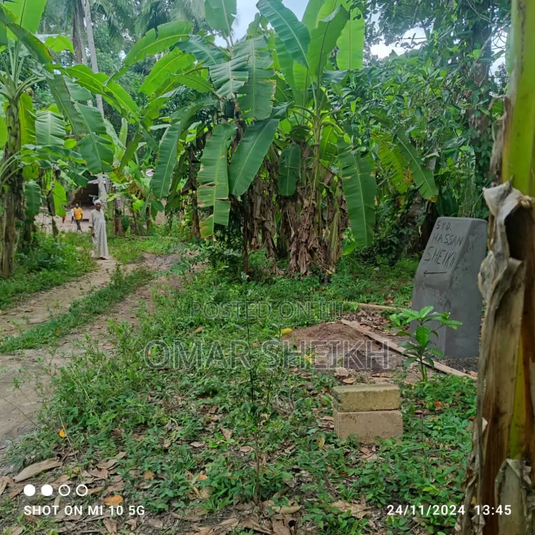 Mashamba (Farms)