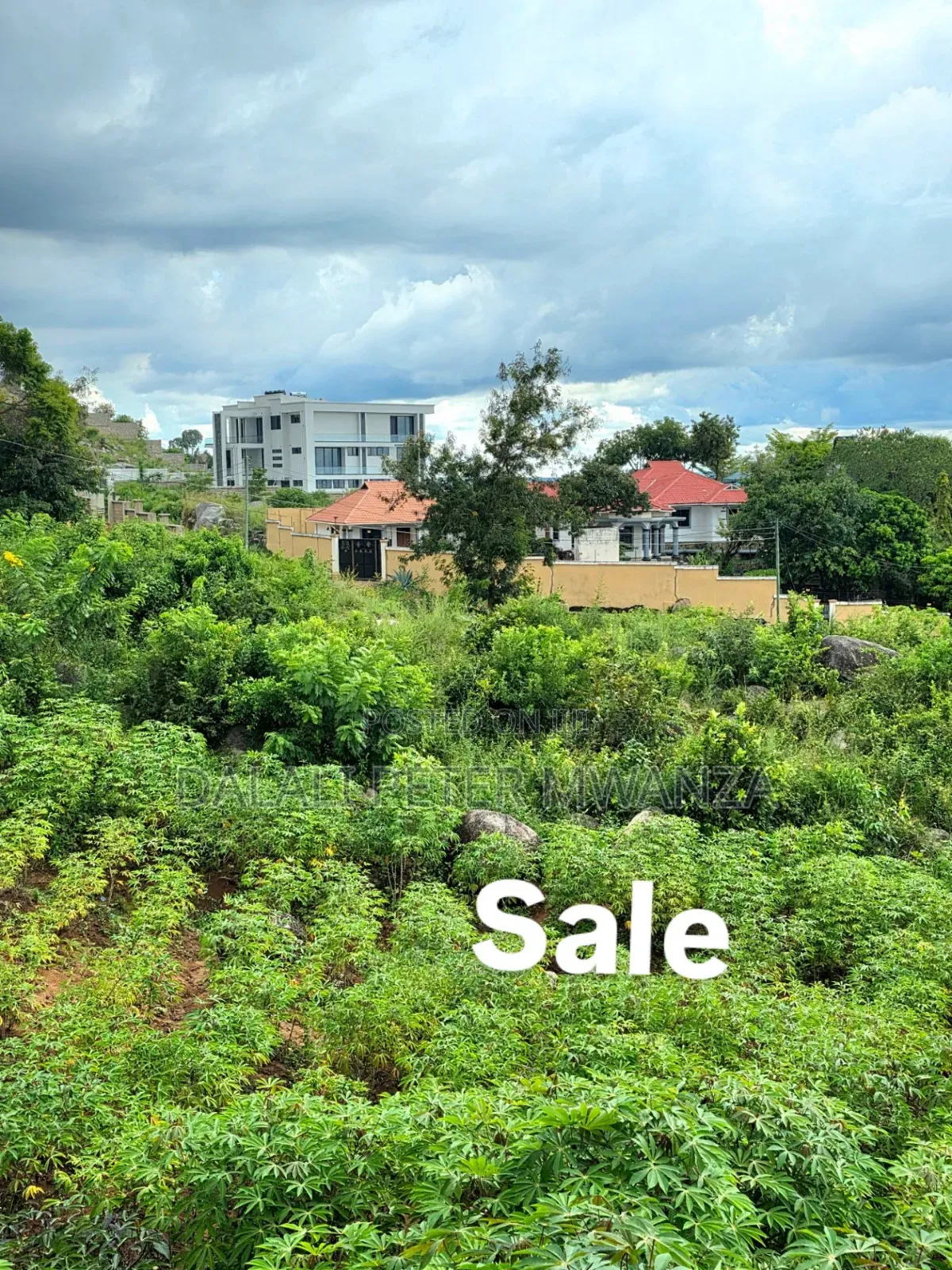 Ibanda Mwanza