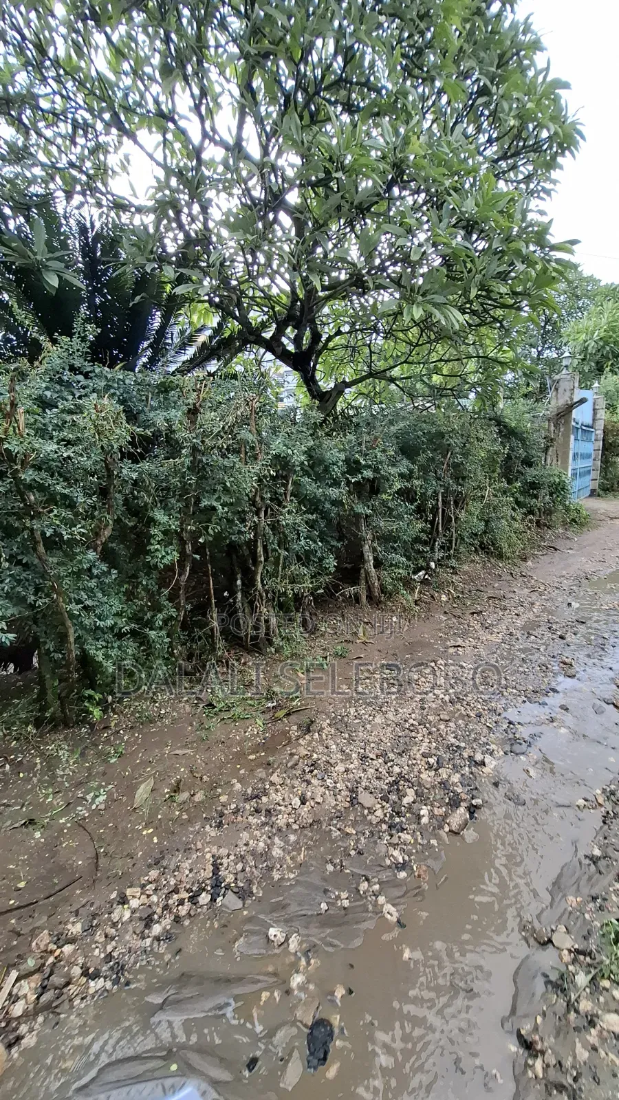 Busness Plot at Kinondoni Mkwajuni