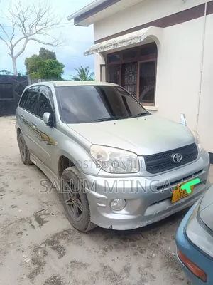 Toyota RAV4 2004 Silver