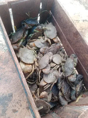 Seafood - Fresh Crabs 
