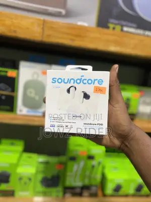 Anker Soundcore P30i Earbuds