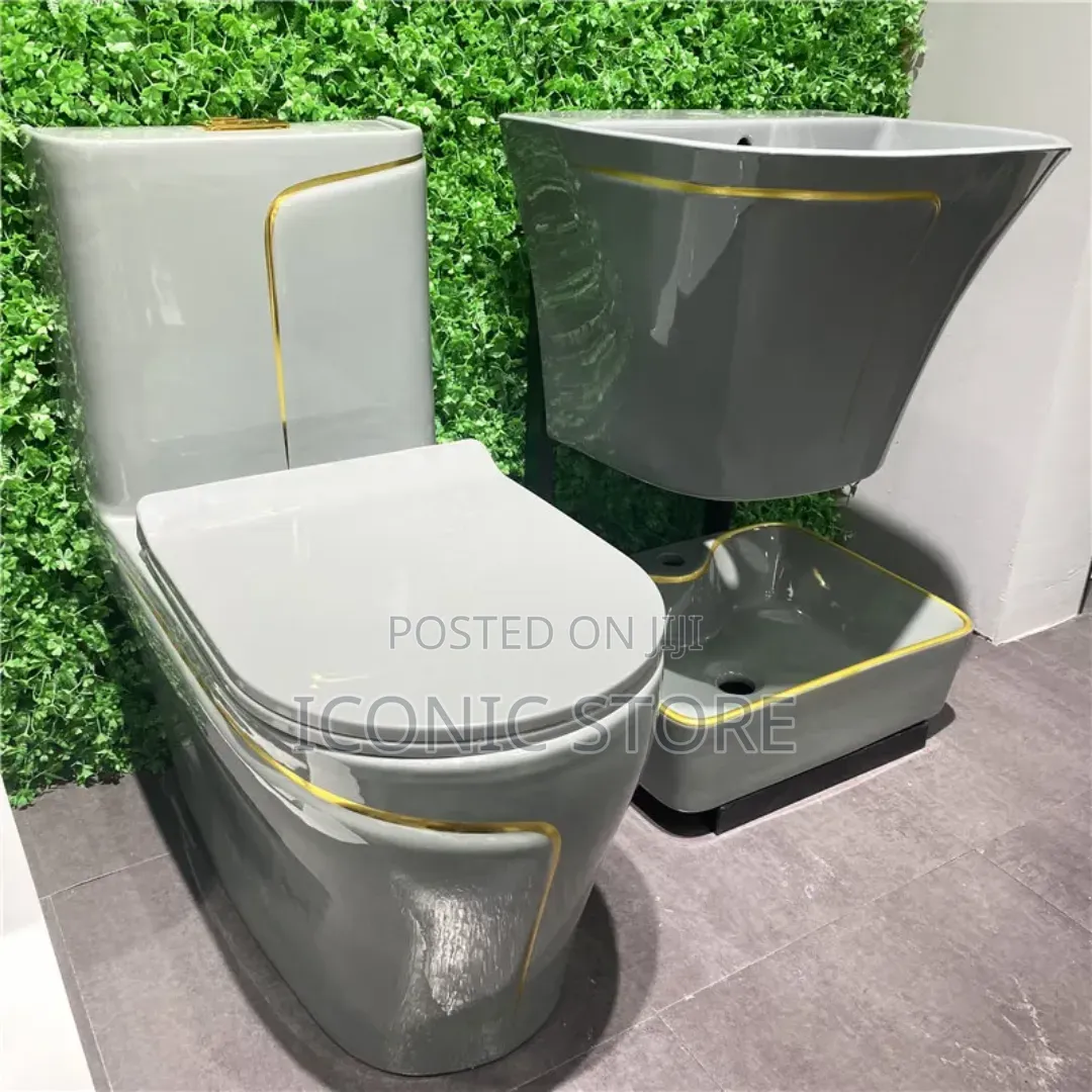 (Modern Toilet / Wc