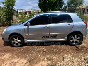 Toyota Corolla RunX 2006 Silver